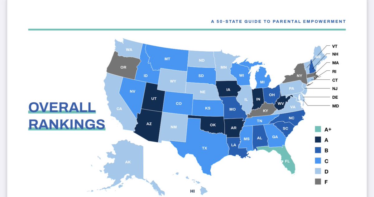 Will Flanders tweet media