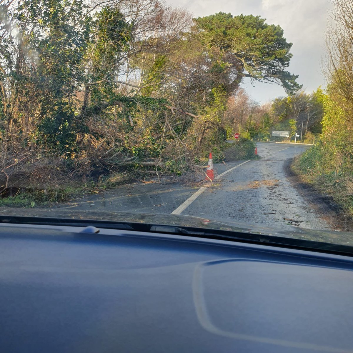 glendoherpark's tweet image. #Achill Island Greenway cycle . #Springvale One of the many trees down in Achill and roads blocked @MayoCoCo will be busy #staysafe #wildatlanticway has trees down too #Shraheens 
#StormEowyn #StormÉowyn 
#islands
