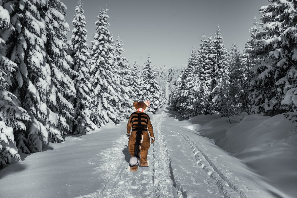 Lee Taiger tweet media