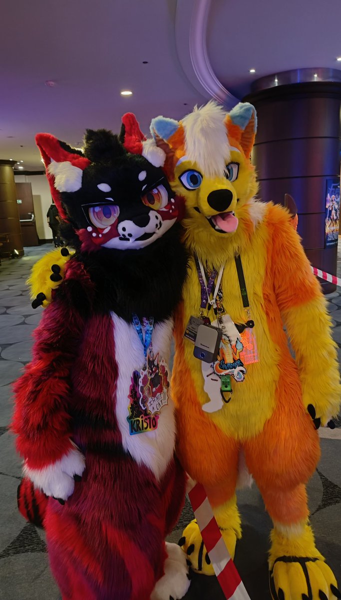 Salatranir's tweet photo. Happy #FursuitFriday with @kristo_wolf wich I met at #FBL12
My suit is by @wolf_daz https://t.co/ztBclwt0Fy