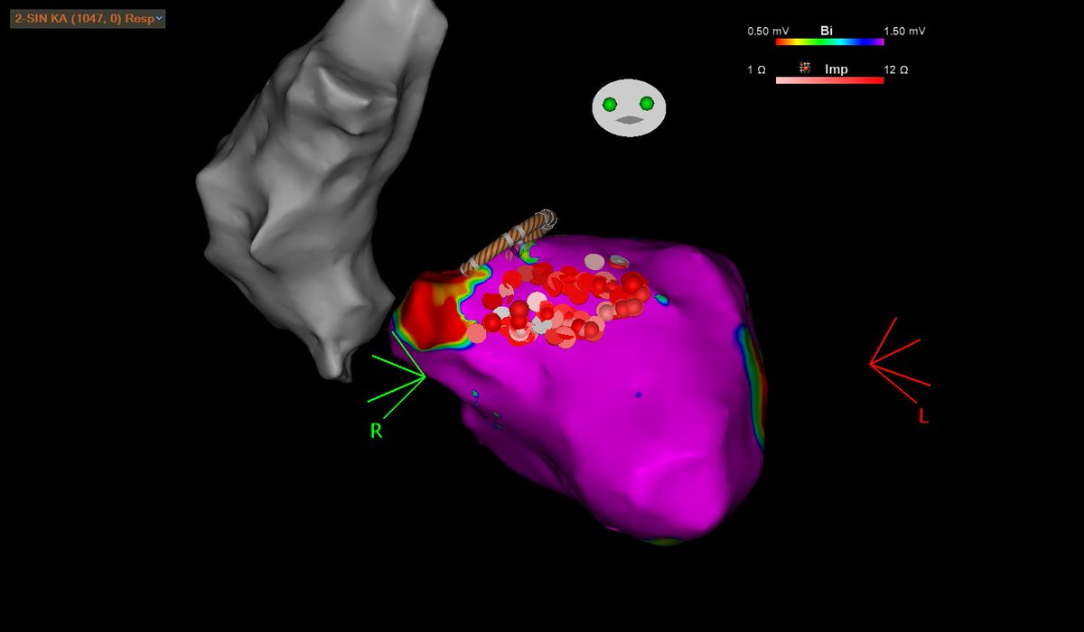 Emir Baskovski tweet media
