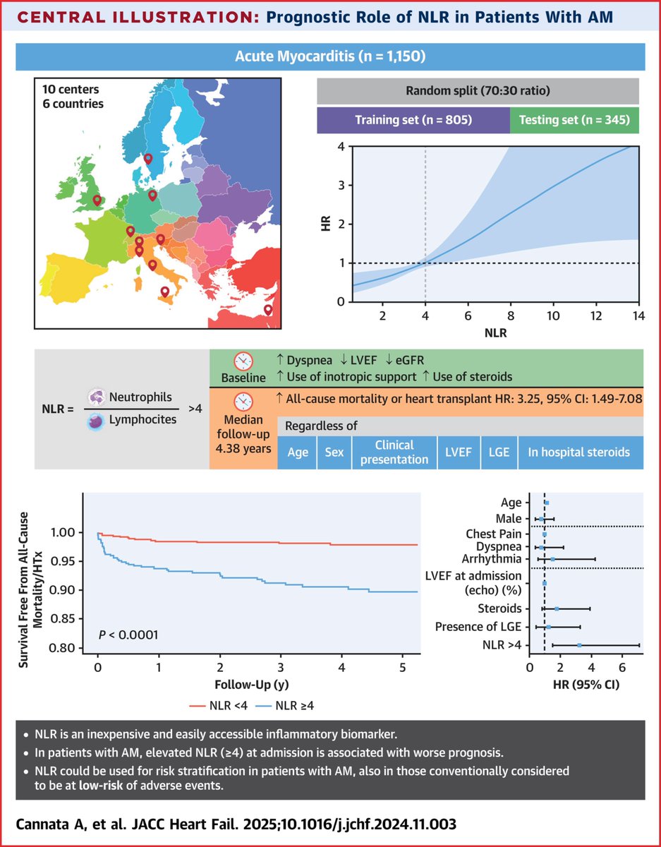 Antonio Cannata' (@_antocannata) on Twitter photo 🫀 NLR, an inexpensive and easy #biomarker, improves risk stratification in patients with #Myocarditis. Read the full story at jacc.org/doi/10.1016/j.…
#JACCHF #whyMRI #CardioTwitter
<a href="/BromageDan/">Dan Bromage</a> <a href="/BiykemB/">BiykemBozkurt</a> <a href="/gbiondizoccai/">Giuseppe Biondi-Zoccai</a> <a href="/AbbateAntonio/">AntonioAbbate</a> <a href="/JACCJournals/">JACC Journals</a> <a href="/DjawidHashemi/">Djawid Hashemi</a> <a href="/HanCardiomd/">Henry Han</a> 🫀 NLR, an inexpensive and easy #biomarker, improves risk stratification in patients with #Myocarditis. Read the full story at jacc.org/doi/10.1016/j.…
#JACCHF #whyMRI #CardioTwitter
<a href="/BromageDan/">Dan Bromage</a> <a href="/BiykemB/">BiykemBozkurt</a> <a href="/gbiondizoccai/">Giuseppe Biondi-Zoccai</a> <a href="/AbbateAntonio/">AntonioAbbate</a> <a href="/JACCJournals/">JACC Journals</a> <a href="/DjawidHashemi/">Djawid Hashemi</a> <a href="/HanCardiomd/">Henry Han</a>