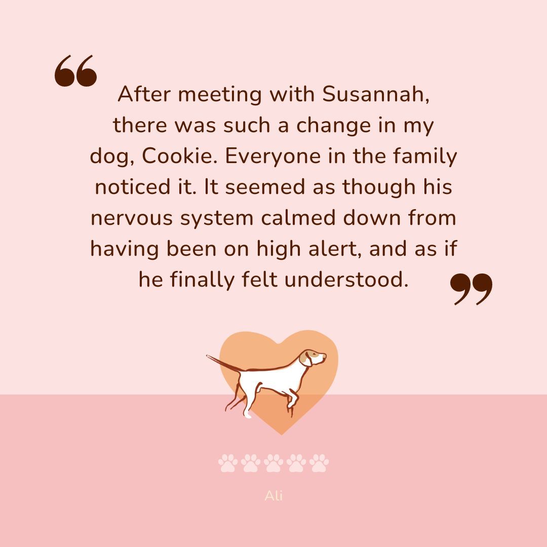 SelfSelection's tweet photo. Thank you to Ali and Cookie for the lovely testimonial I received recently.

Contact me, if you would like to find out if animal communication can help your animal: https://t.co/Gz8vBXnIAR

#animalcommunication #animalcommunicator #animalhealing #animalhealer #animalbehavior https://t.co/aSenoSPCEm