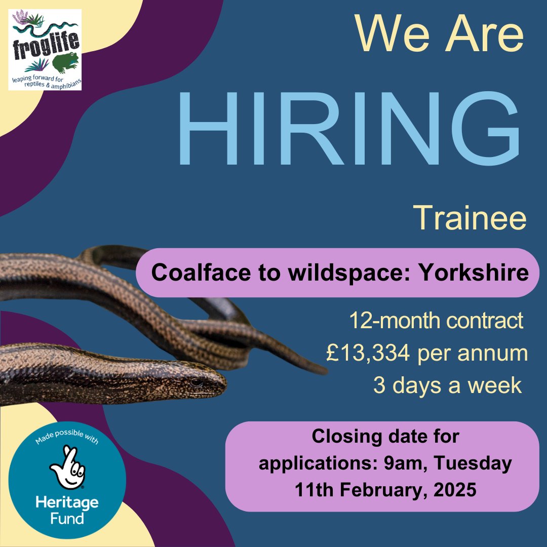 📣WE ARE HIRING📣

We are on the lookout for a Trainee who will be working on our Coalface to Wildspace: Yorkshire project.

Find out more about the role by visiting: ow.ly/4qiq50ULL8a

Closing date for applications: 9am, 11th February, 2025