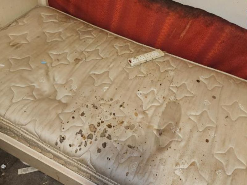traumaclean247's tweet photo. Death cleanup involves more than just removing visible traces; it ensures a safe, sanitary environment free from hidden dangers. Whether it's a natural passing, unattended death, or traumatic event, Trauma Clean 24 Seven is here to help.

https://t.co/QvJb6AUUFH https://t.co/YjOnvZfOAE