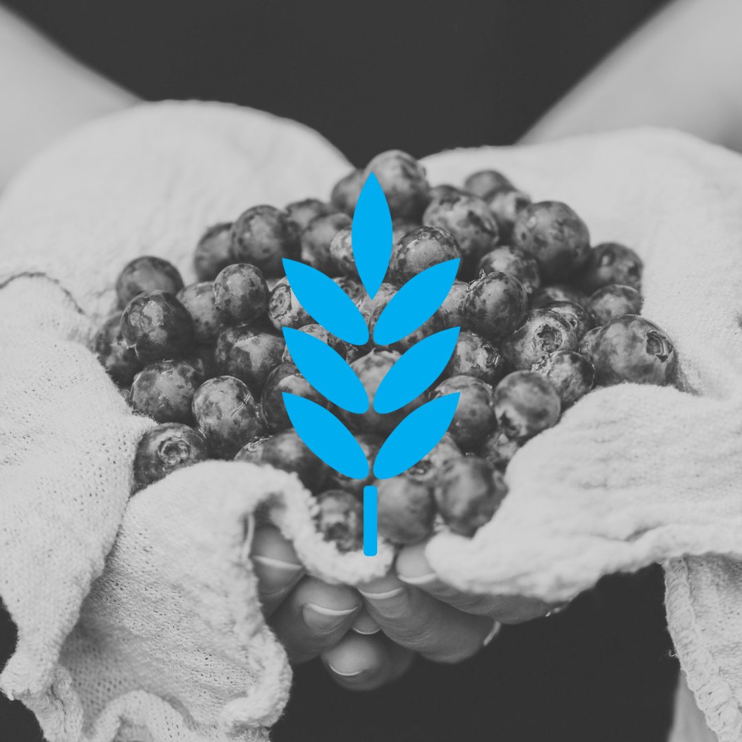 compassminerals's tweet image. Responsibly transforming Earth&apos;s natural resources to help keep people safe, feed the world and enrich lives, every day. 🌱✨ #ClearlyEssential #CorePurpose #EssentialMinerals