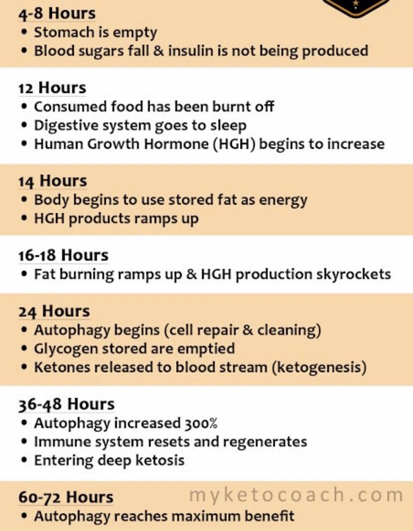 Timeline of fasting