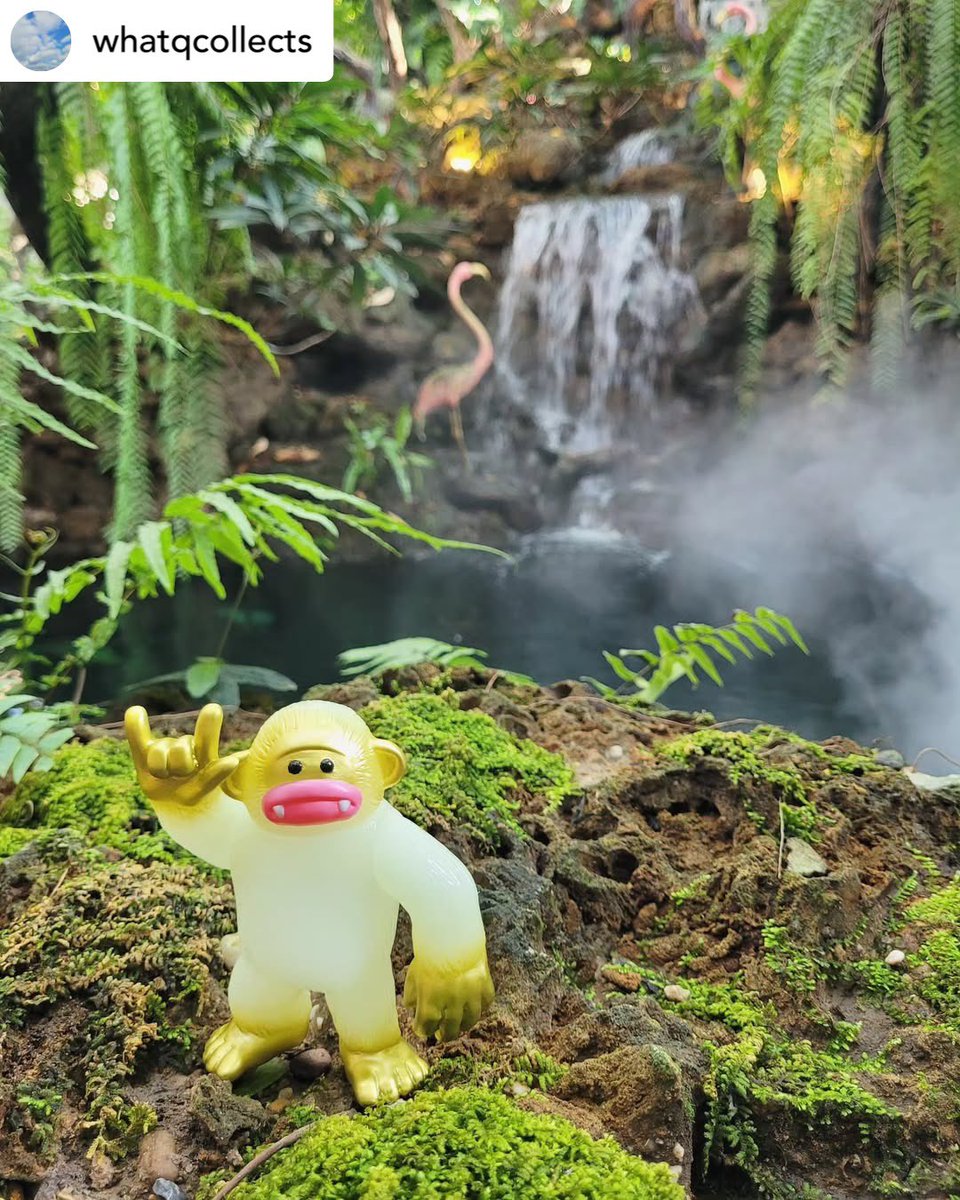 harikenjp's tweet photo. Arigato your collection & nice photo🤟🐵🍀

#YEAHTI #ヤーティ
#bigfoot
#ソフビ

@whatqcollects Just a yeahti lovin' you from the jungle 💛🤟 @harikenjp 

#arttoys #arttoythailand #arttoyespaña #designertoys #toysofinstagram #toysofig #toystagram #toycollector #toycollection #sofubitoys #sofvi #softvinyl #sofvbi #sofubi #softvinyltoy #hariken
