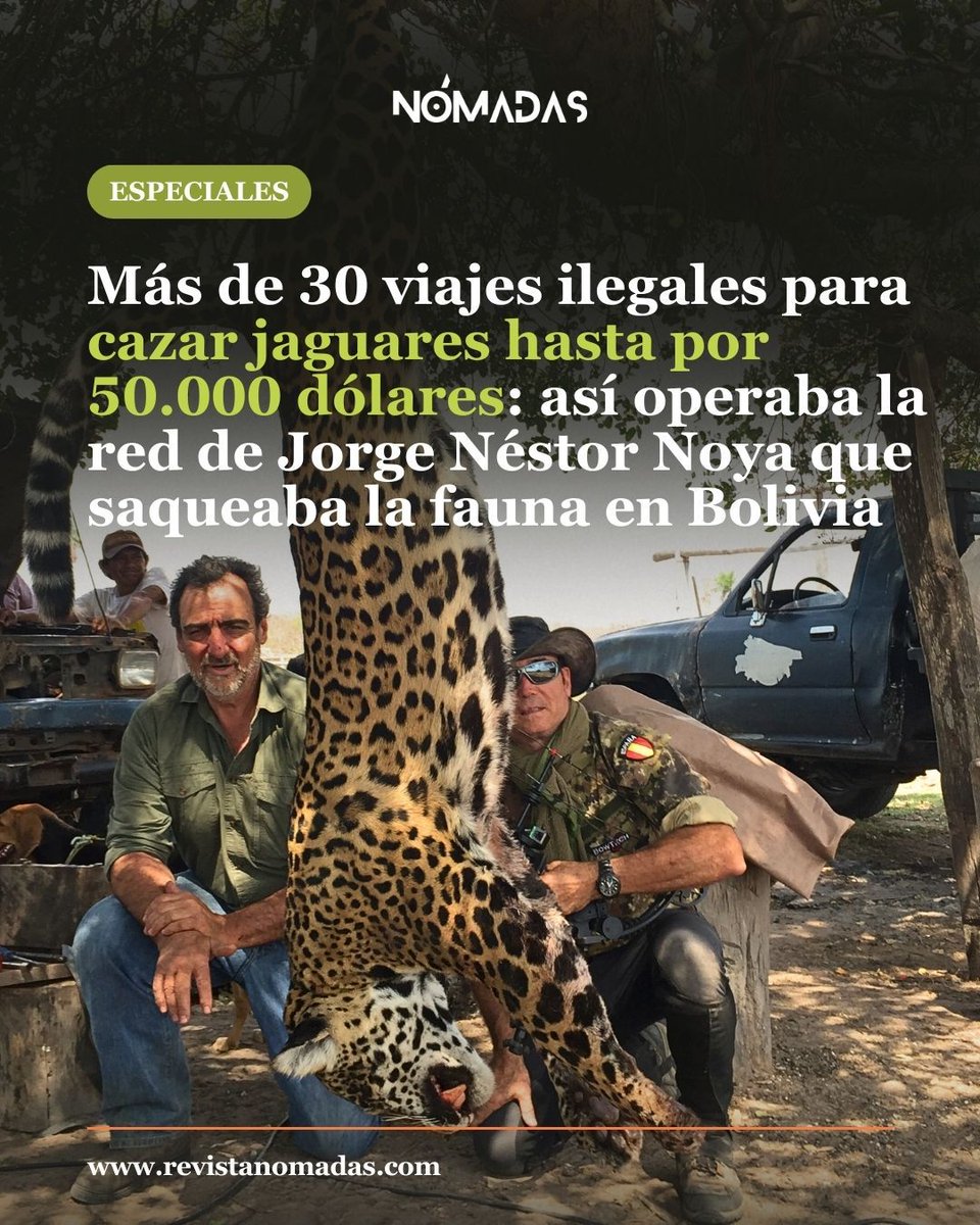 Detenido en Bolivia Jorge Noya, argentino que vendía paquetes de cacería de Yaguareté y otras especies amenazadas como aguara guazú, operó en Bolivia, Paraguay, Argentina y Brasil. revistanomadas.com/mas-de-30-viaj…