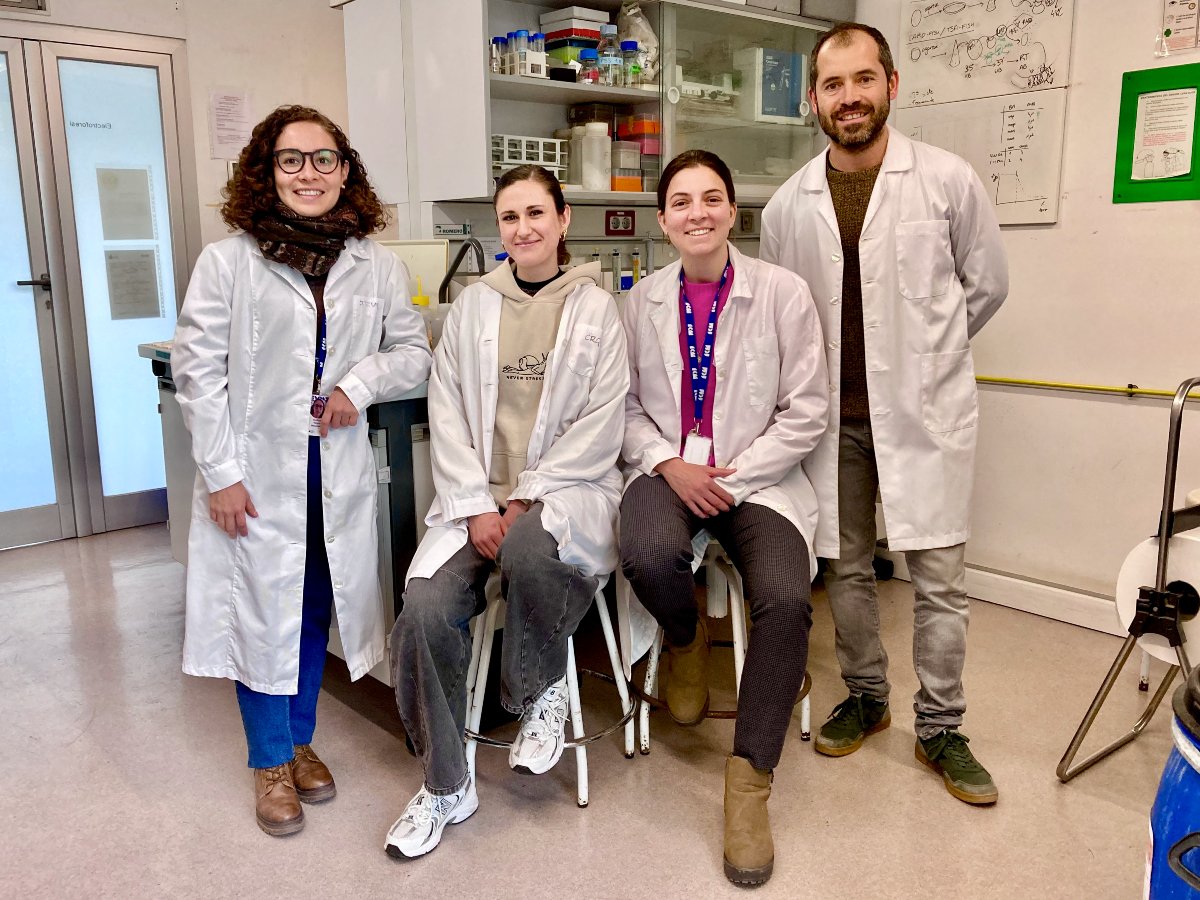 ICMCSIC's tweet image. 🔴I #ICMNEWS I🔴

🎉Francisco Cornejo’s research, recognised as one of the major scientific milestones of 2024. @EMM_Barcelona

🔬 @NatureEcoEvo has featured his research on symbiosis and cell evolution in its ‘Year in Review’ section. Congrats!🥳

+ info: icm.csic.es/en/news/franci…