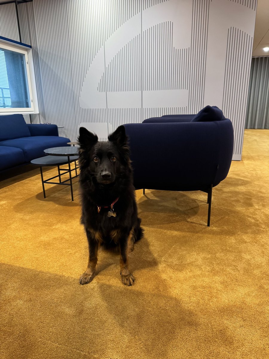 Here at P&amp;H, dogs are a beloved part of our office life, always ready to brighten up our workdays with their charm. Say hello to Mysli, striking a pose and sending warm weekend vibes to all the dog lovers out there! 🐶🐾