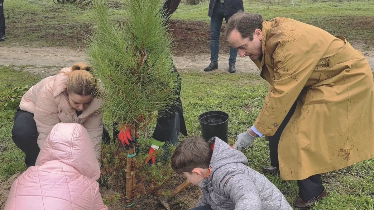 Lucas González Ojeda (@lucasgonzalezeu) on Twitter photo Un rato estupendo plantando árboles, de la mano de <a href="/LIFETerraEurope/">Life Terra</a> y <a href="/NLinSpain/">Embajada de Países Bajos en España</a>, el <a href="/Ayto_Las_Rozas/">Ayuntamiento de Las Rozas</a> y los alumnos <a href="/gredossandiego/">GSD Educación</a>. Ciudades verdes y con aire más limpio. El programa <a href="/LIFEprogramme/">LIFE Programme</a> financiado por la #UE promueve la protección del medioambiente y la biodiversidad Un rato estupendo plantando árboles, de la mano de <a href="/LIFETerraEurope/">Life Terra</a> y <a href="/NLinSpain/">Embajada de Países Bajos en España</a>, el <a href="/Ayto_Las_Rozas/">Ayuntamiento de Las Rozas</a> y los alumnos <a href="/gredossandiego/">GSD Educación</a>. Ciudades verdes y con aire más limpio. El programa <a href="/LIFEprogramme/">LIFE Programme</a> financiado por la #UE promueve la protección del medioambiente y la biodiversidad