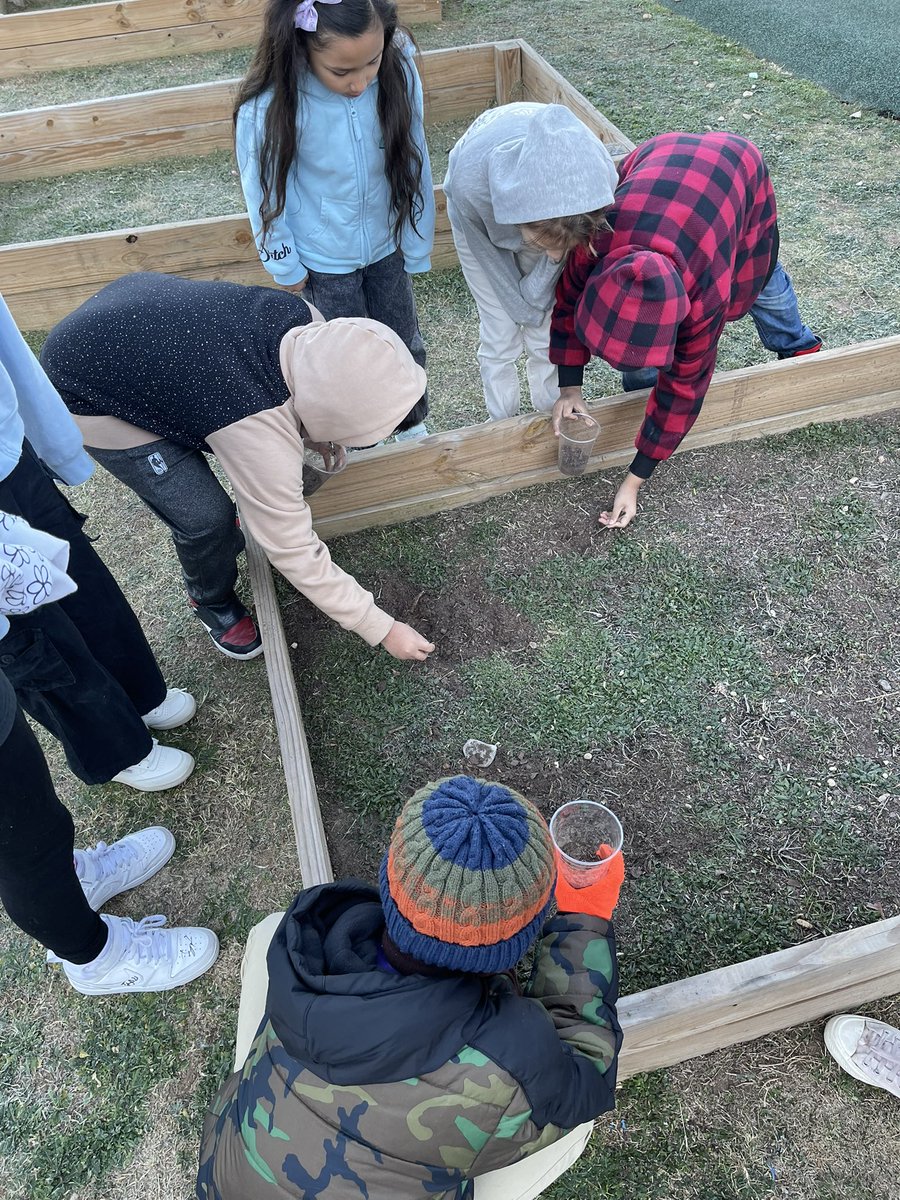 MelissaCruz2017's tweet photo. Perales 3rd grade soil scientists. @PeralesESchool @EISDofSA https://t.co/Q9s9TMBO51