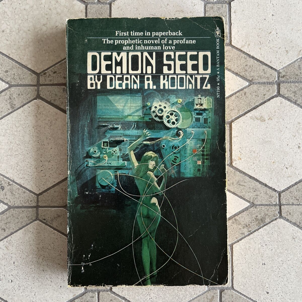 Gato Preto 🐈‍⬛ tweet media