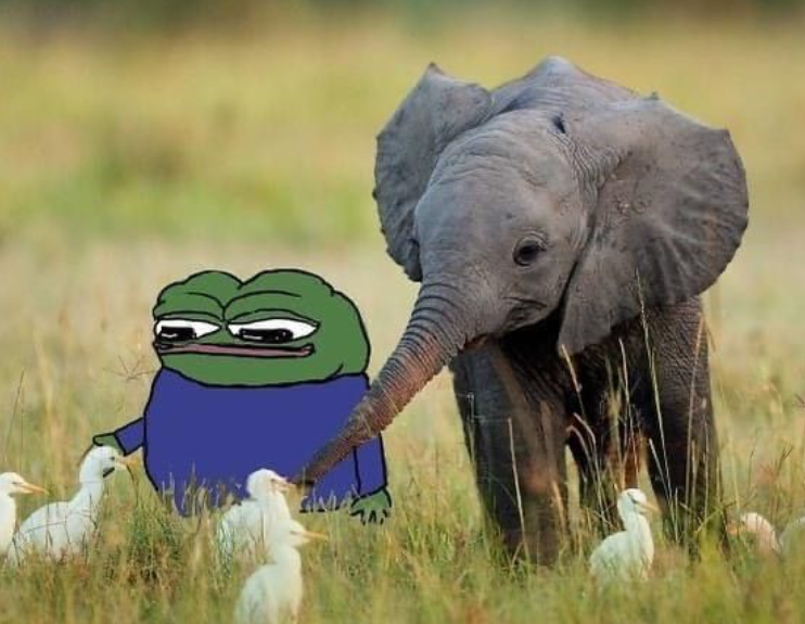 ­­Cryptotx tweet media