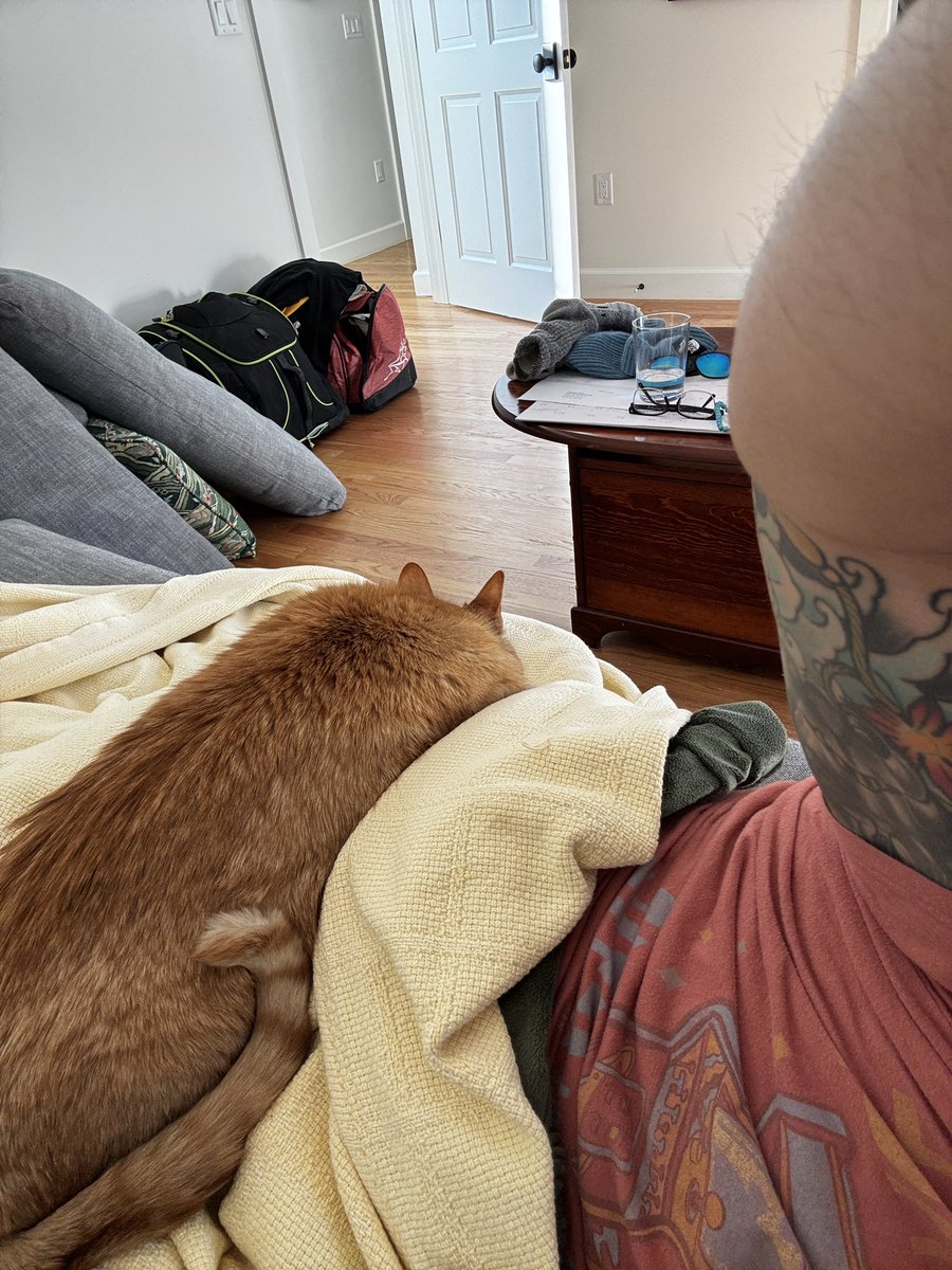 MrEdwardAParker's tweet photo. Weighted blanket; better than Xanax 
#healthylifestyle https://t.co/njt1JbeS4V