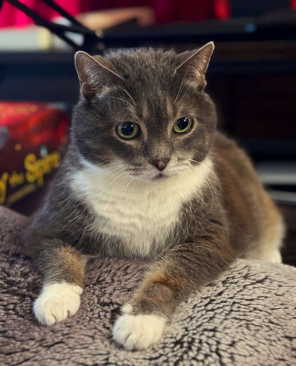 GilbyRanger's tweet image. This sweet lady just turned 19 and is more youthful than ever ❤️