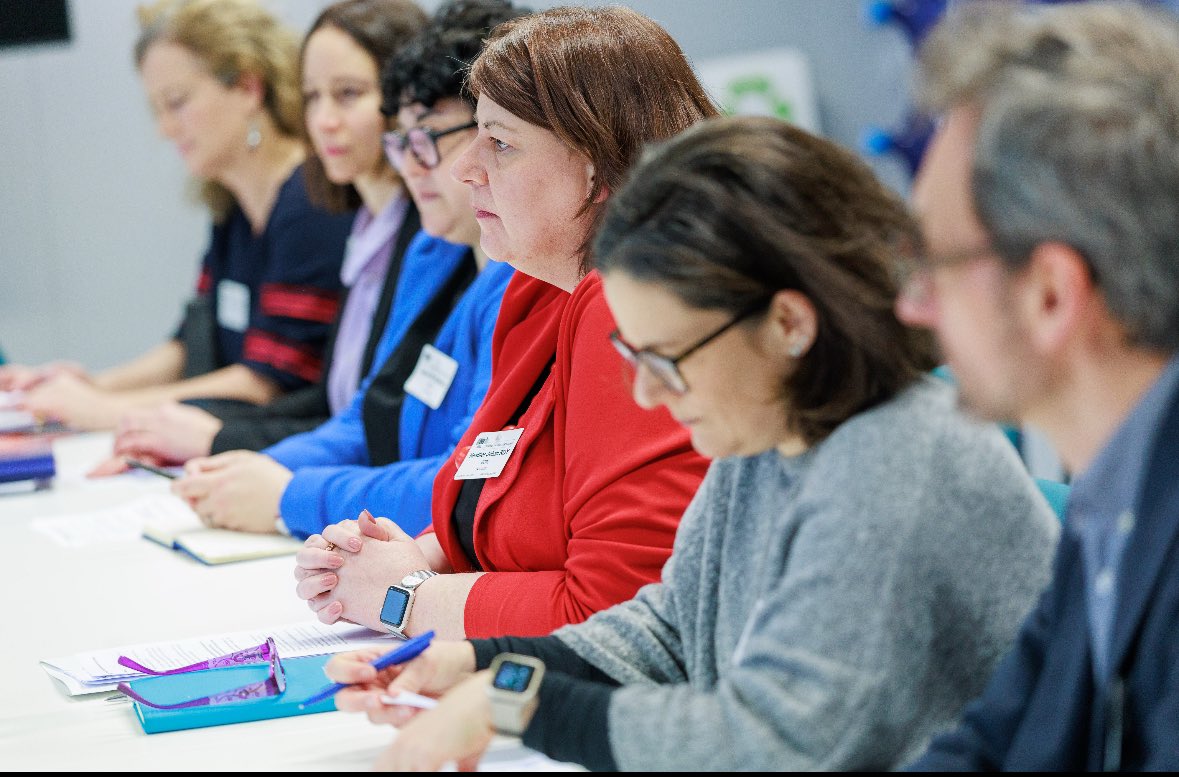 Roxana Mînzatu tweet media