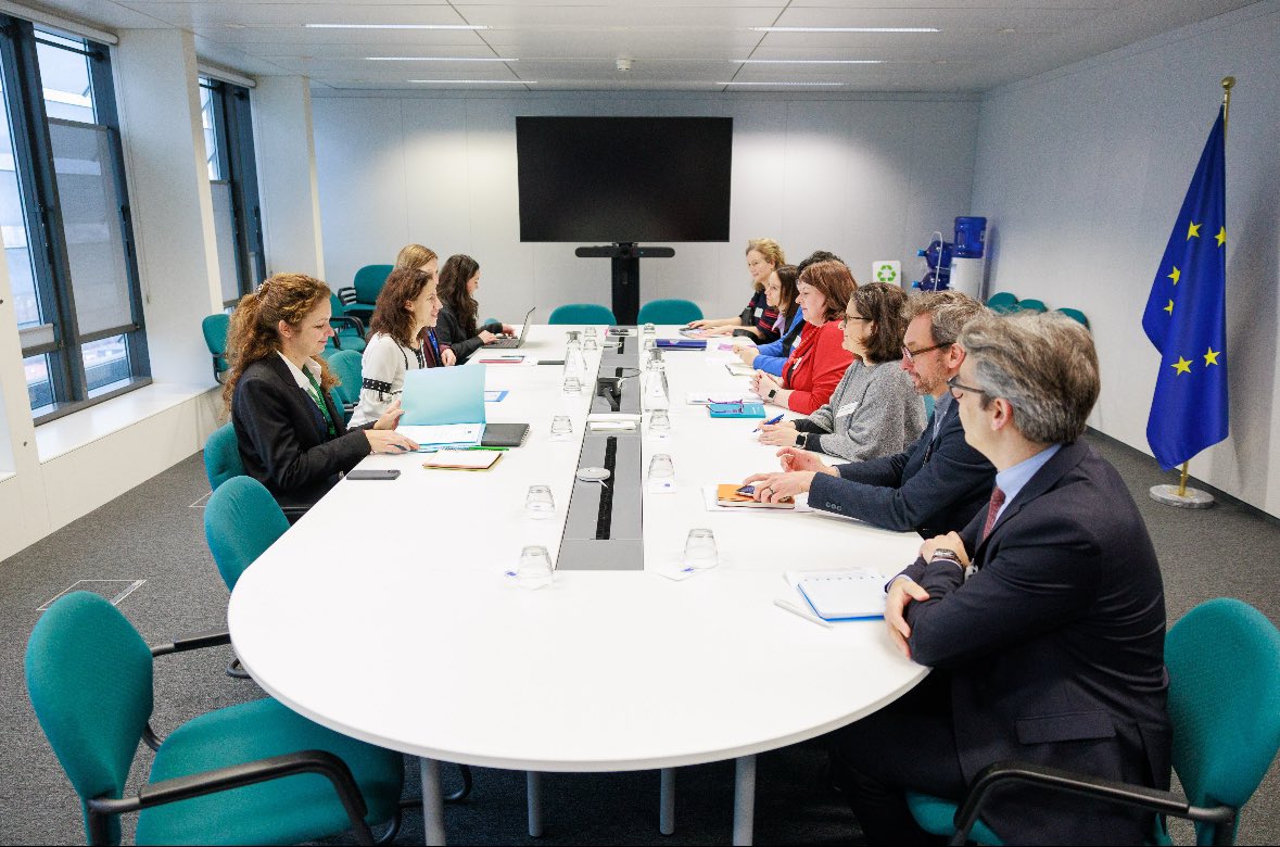 Roxana Mînzatu tweet media