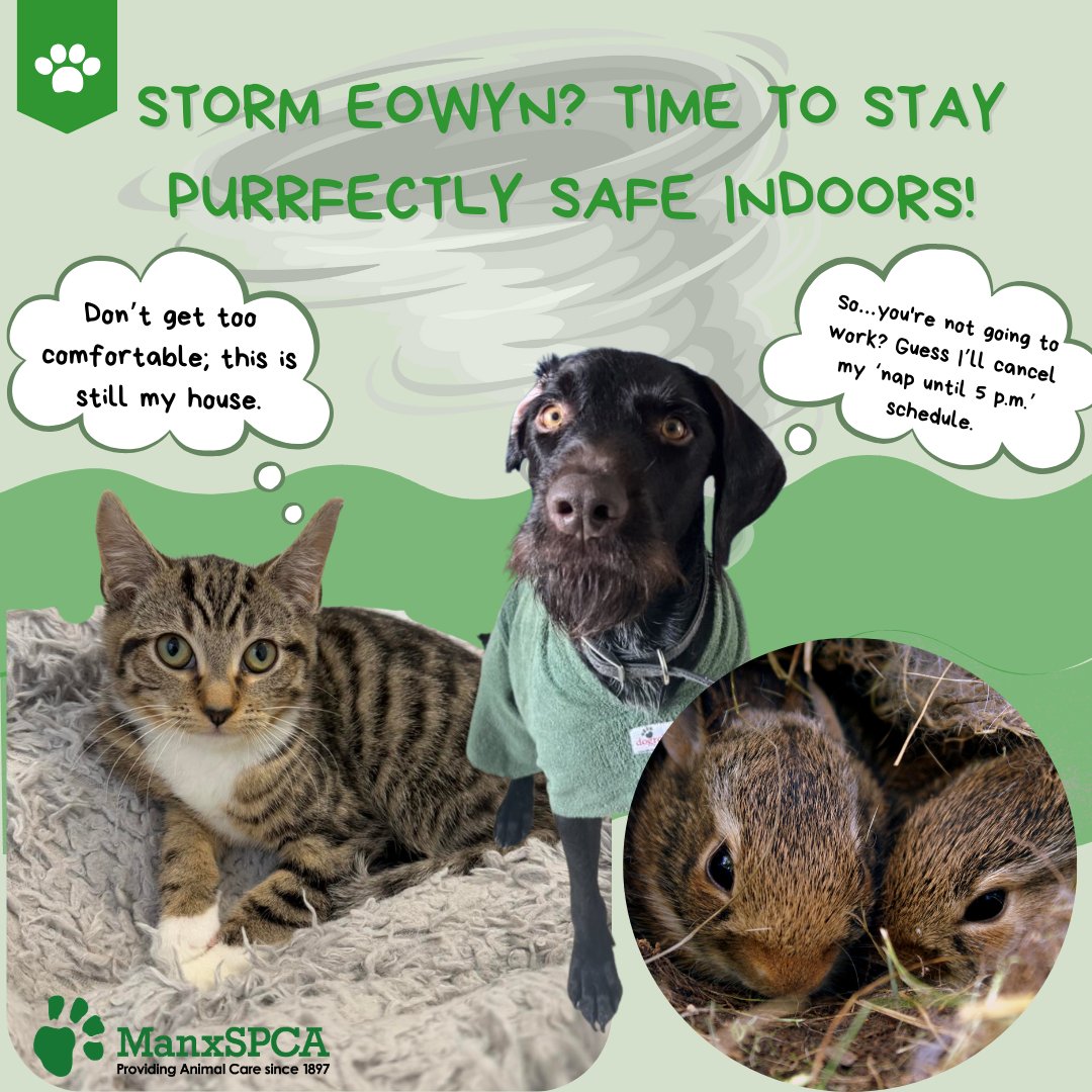 ManxSPCA tweet media