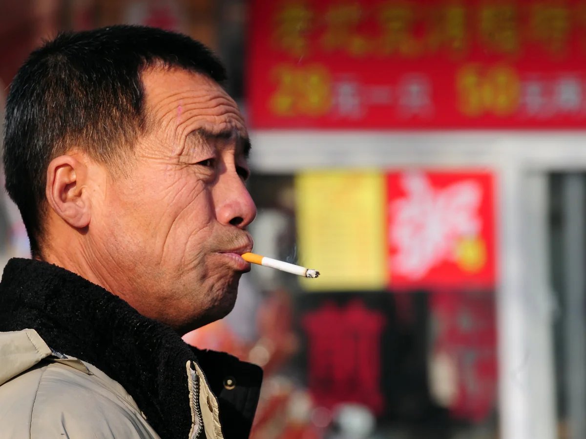 BRAH SUPPS 补充贸易公司 tweet media