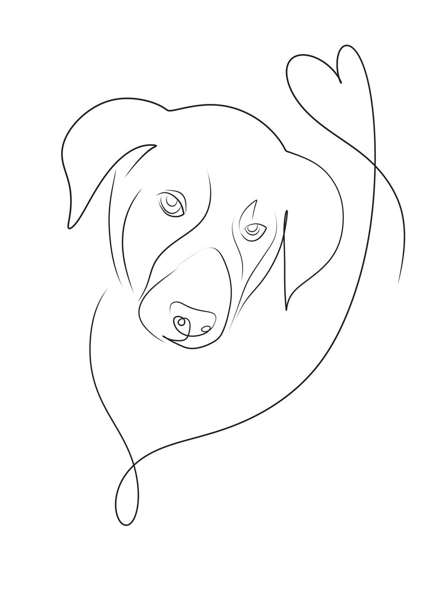 ismael gonzalez tweet media