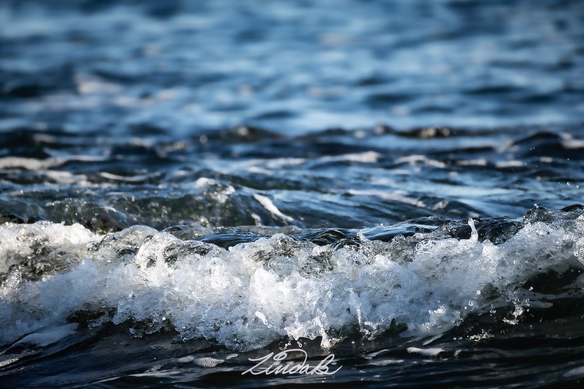 LSBofEBB's tweet photo. Gently Rolling In…
Something kind of soothing about it, isn’t there? Have a great day!
#rollingin #ebbandflow #coastal #justbreathe #thesimplethings #water #blue #getoutsideandlive #nature #enjoythemoment #BeautyInEveryBit #friday #theoceanstate #Soothing https://t.co/LfvBAGEEI5