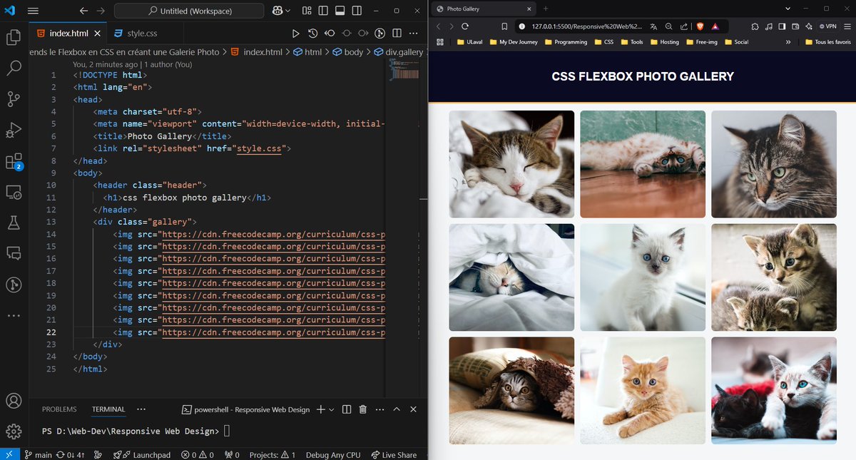 dereal_ismael's tweet image. Jour 26/30 : J'apprends le Flexbox en CSS en créant une Galerie Photo   
📺YouTube : youtube.com/@licode30
📚freeCodeCamp : freecodecamp.org/learn/2022/res…
 #CSSChallenge #30DaysOfCSS #LearnCSS #freecodecamp