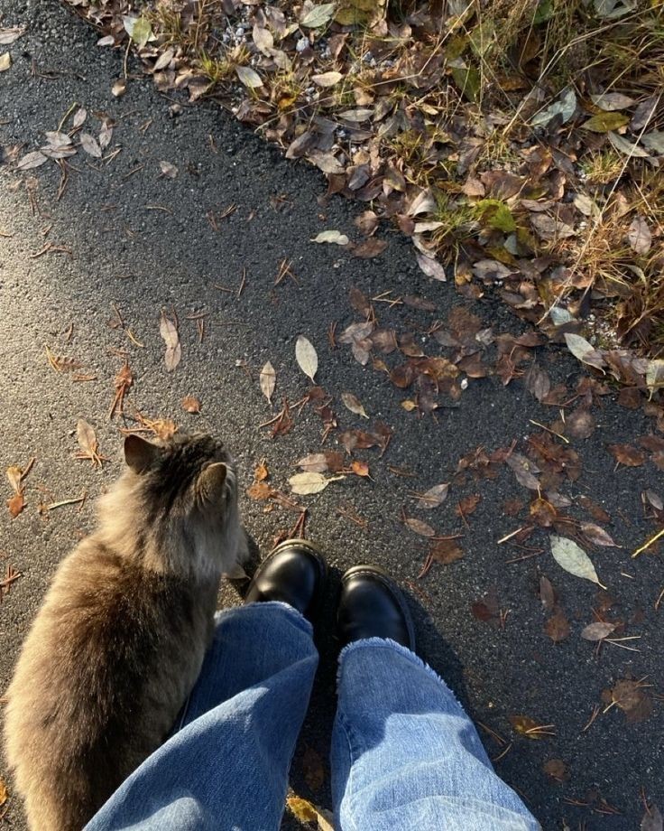 talya9646171863's tweet photo. I miss autumn Walk so much 🍁🌁 https://t.co/Y1qj1wnDsQ