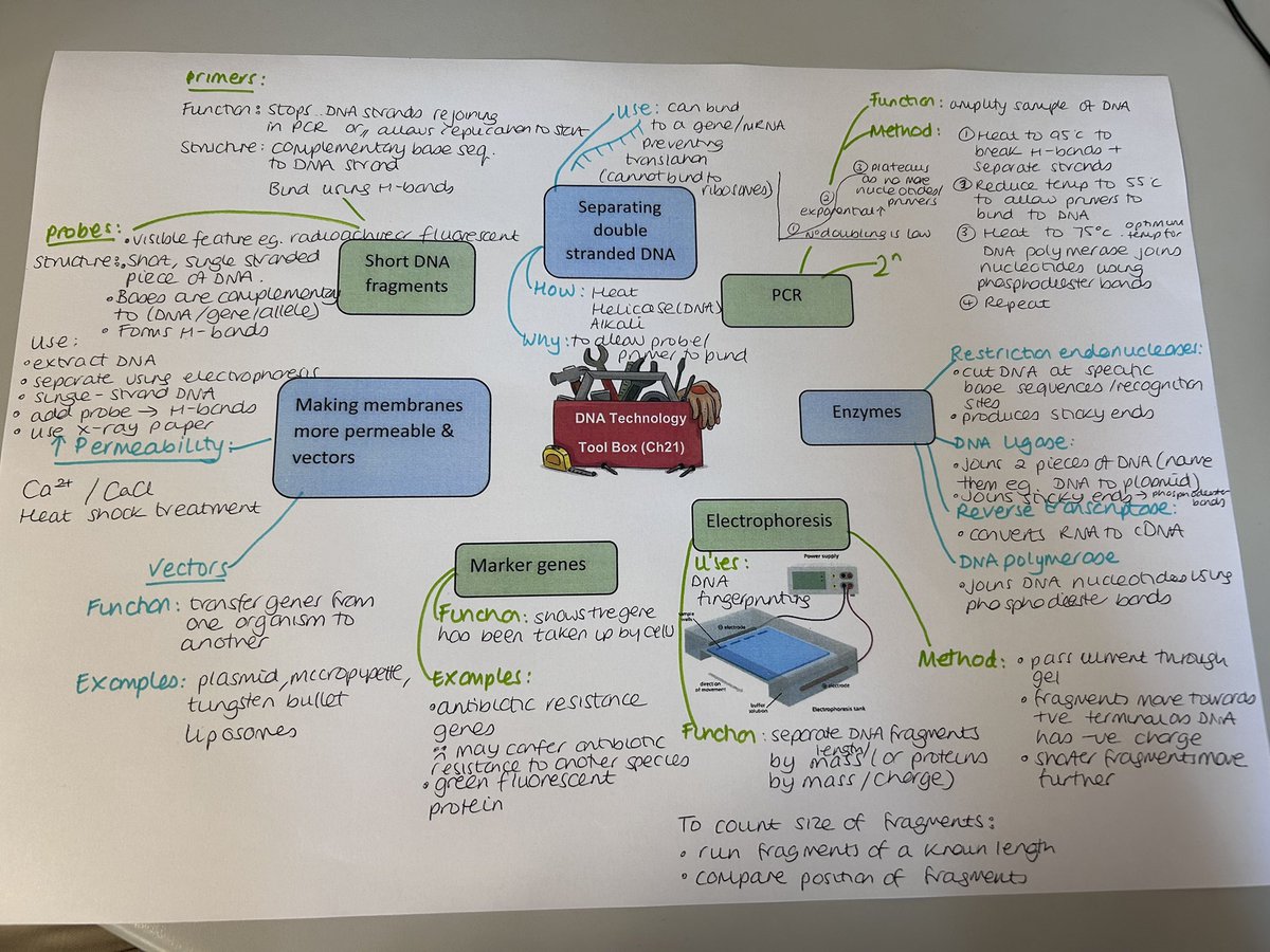 Jane Masters tweet media