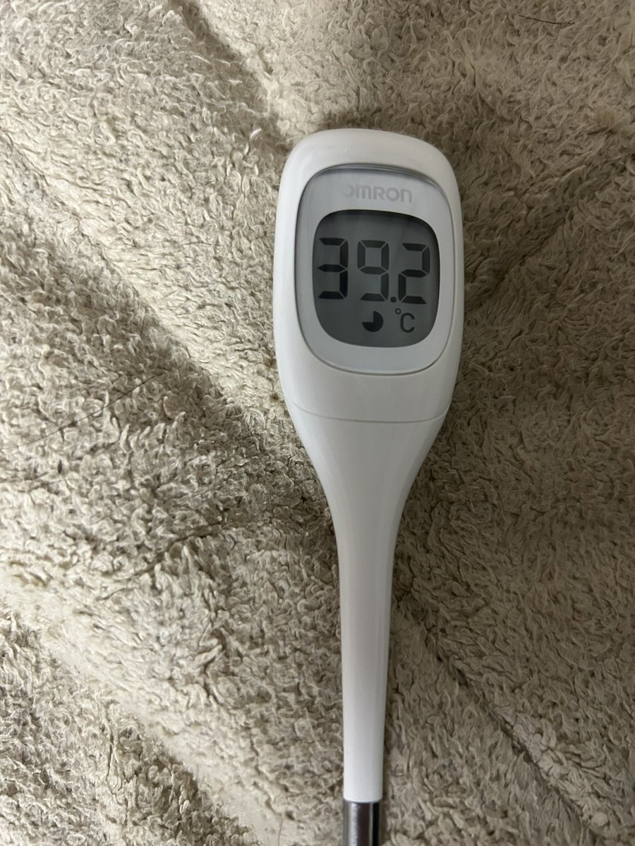iga__ba's tweet photo. インフルでぶっ倒れてましたがセイア2枚抜きキメたので許します😤 https://t.co/9HBCXtmYnp