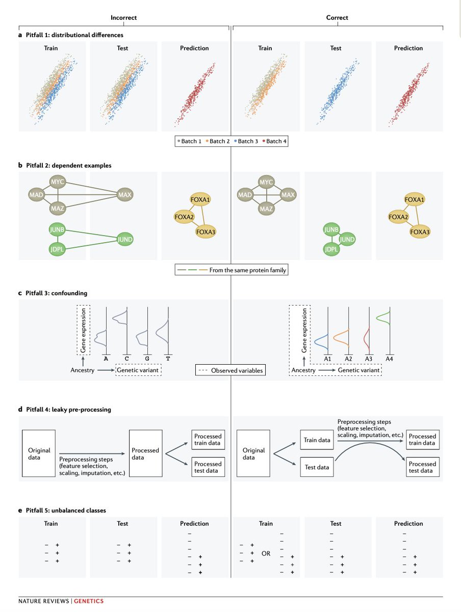 Machine learning (ML) is revolutionizing genomics, but common pitfalls can lead to misleading results. Here's a thread on how to avoid them 🧵