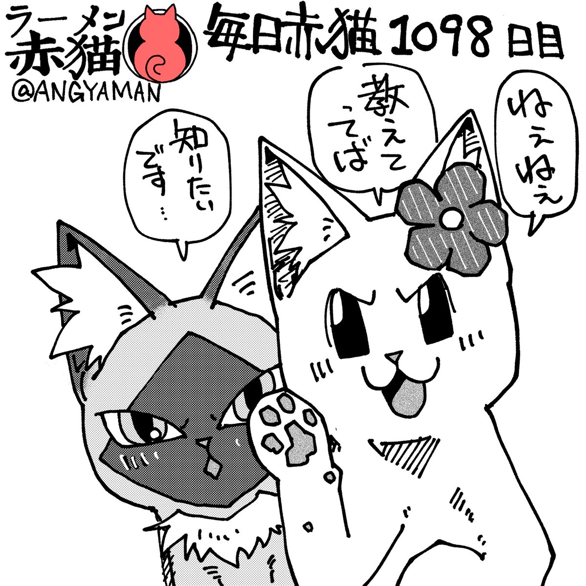 教えて教えて
#ラーメン赤猫 #ジャンププラス
132杯目 https://t.co/KkwYkd2gqP 