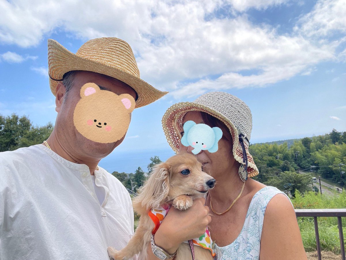 pilialoha723's tweet photo. 今年の漢字を今考えると

この数年

「苦」「痛」「闘」「悲」「怒」「守」とかネガティブな漢字しか浮かばなかったけど…

今年からは

「笑」「幸」❤︎

って浮かぶ様な日々を過ごしたいな。

守り続けて来てくれた大切な存在の為にも。 https://t.co/k5927rcvWu