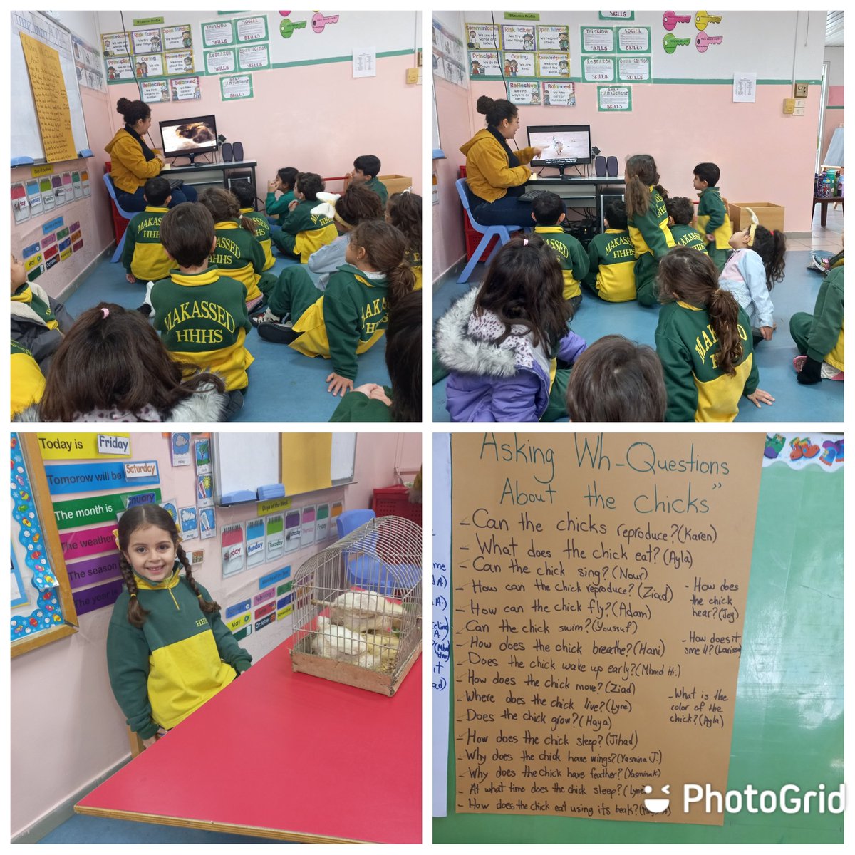 nadanassar (@nadanadanassar) on Twitter photo Chicks, chicks, flapping at our door today! Their fluttering caught KG3B attention, sparking a curious inquiry into what features let them interact and adapt within their environment. #initiated action <a href="/Hhhsinfo/">Houssam Hariri HS</a> <a href="/tbaassiri/">Tharwat Baassiri</a> <a href="/monifa_baba/">Monifa Baba</a> <a href="/sashgh/">Sasha Ghosn</a> Chicks, chicks, flapping at our door today! Their fluttering caught KG3B attention, sparking a curious inquiry into what features let them interact and adapt within their environment. #initiated action <a href="/Hhhsinfo/">Houssam Hariri HS</a> <a href="/tbaassiri/">Tharwat Baassiri</a> <a href="/monifa_baba/">Monifa Baba</a> <a href="/sashgh/">Sasha Ghosn</a>