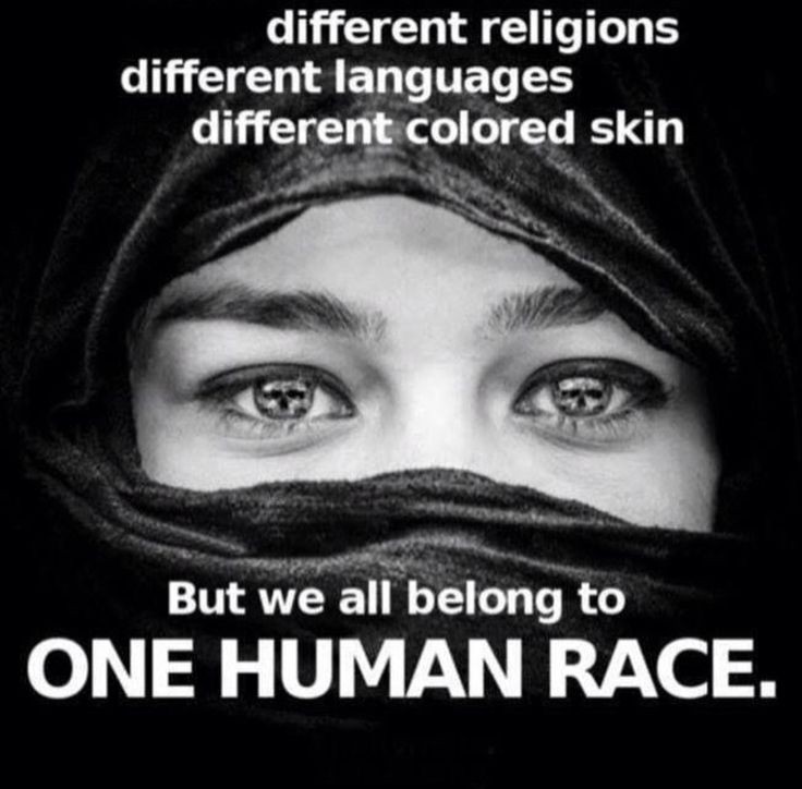 michael_mariner's tweet photo. @Ronxyz00 https://t.co/8Vzoq5dp4h