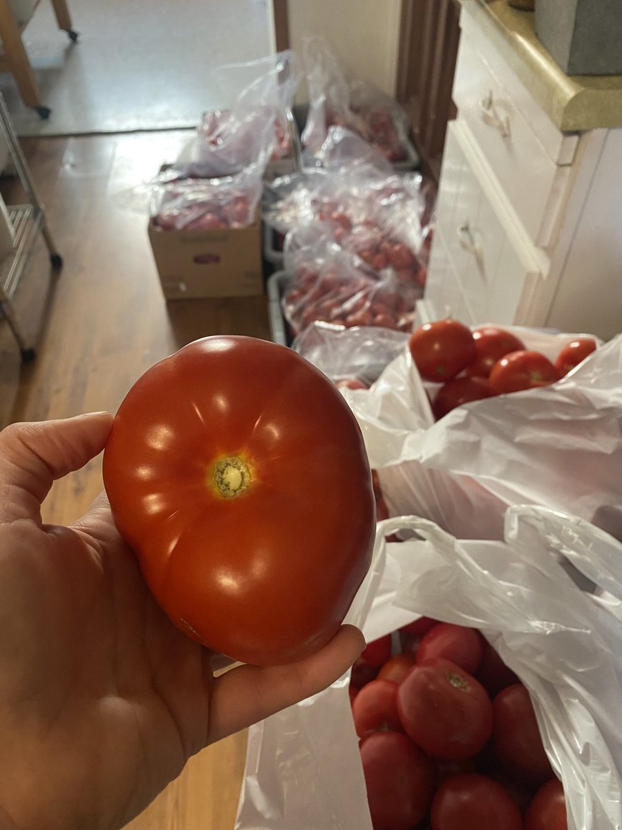 TashasTable's tweet photo. Bought a buttload of tomatoes, so naturally I restocked our Chili Sauce!

Catch us downtown Ottawa at Lansdowne all weekend 
Saturday for @613flea 
&amp;
Sunday for @OttawaFarmMkt https://t.co/z1OZ5lWLX9