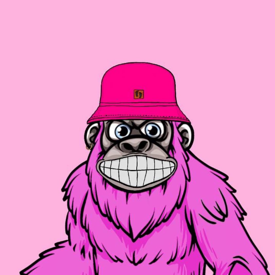 AshMetax's tweet image. GM boys and girls ☀️

Did you chase sh*tty memecoins during the $TRUMP madness? You could have accumulated here… maybe next time. $BIG