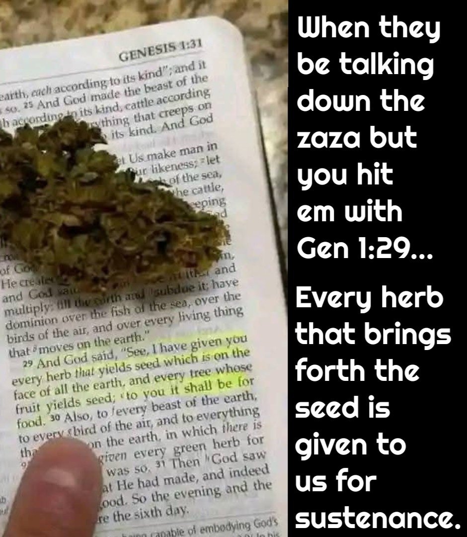 Sword of Exegesis tweet media