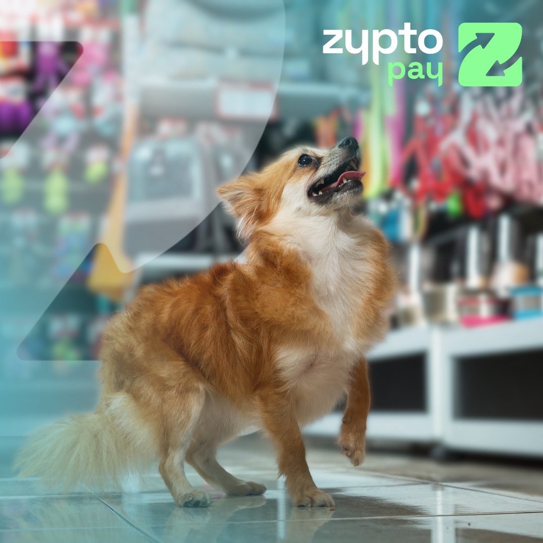 Pet shop owners, have you already started accepting crypto?

With Zypto Pay, it's simple and cost-effective:

💸 $0 setup fees 💰 0% merchant fees ⚡️ Fast crypto or fiat settlements 🌍 Global, cross-border payments

Instant settlement and top-tier security.

Book a free demo now