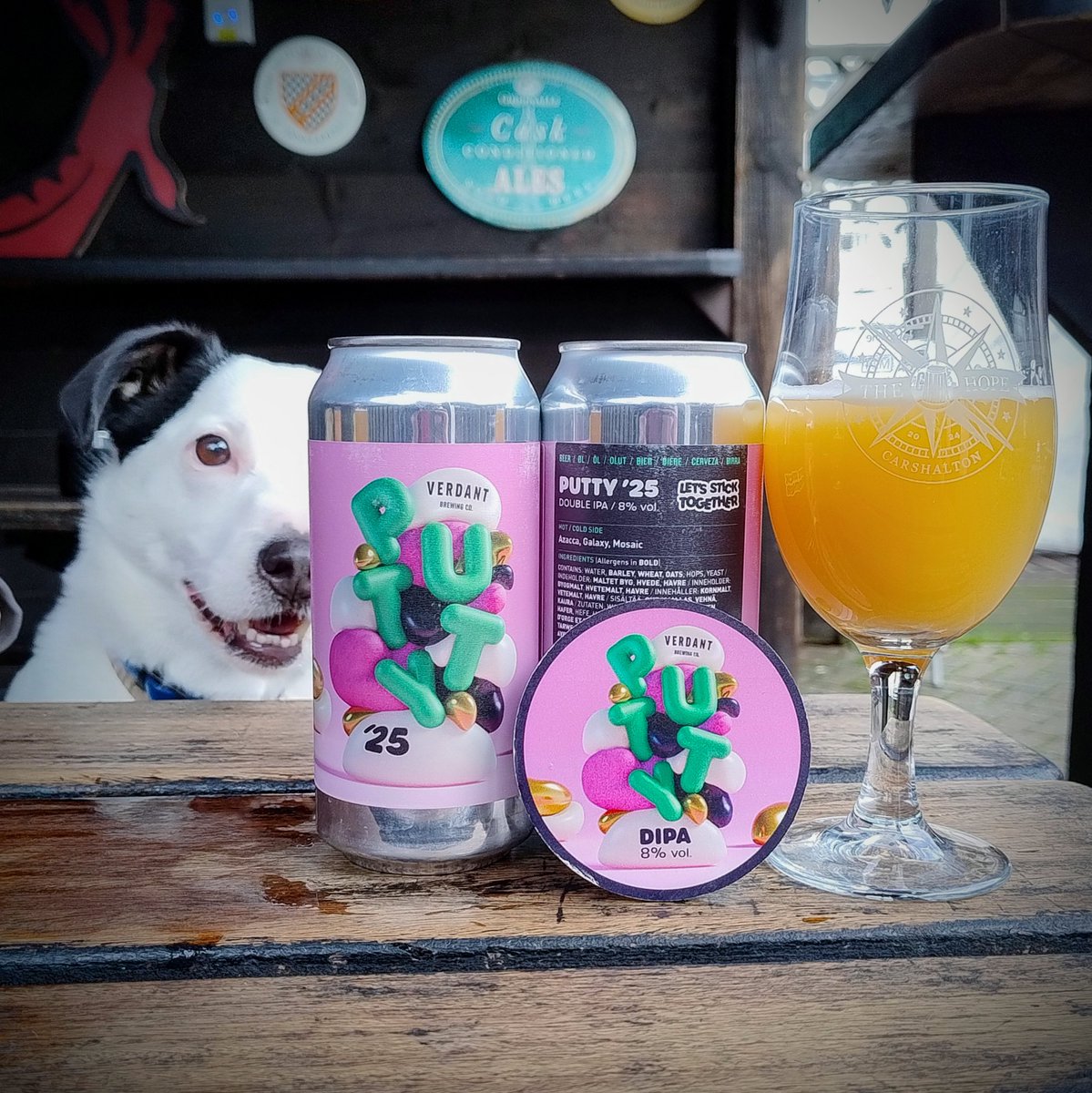 pubcathope's tweet photo. Frankie can't wait to get his paws on this year's @VerdantBrew Putty - come down and grab a half or a can before it all disappears.
#uptheputt https://t.co/nbD4YNA3jz