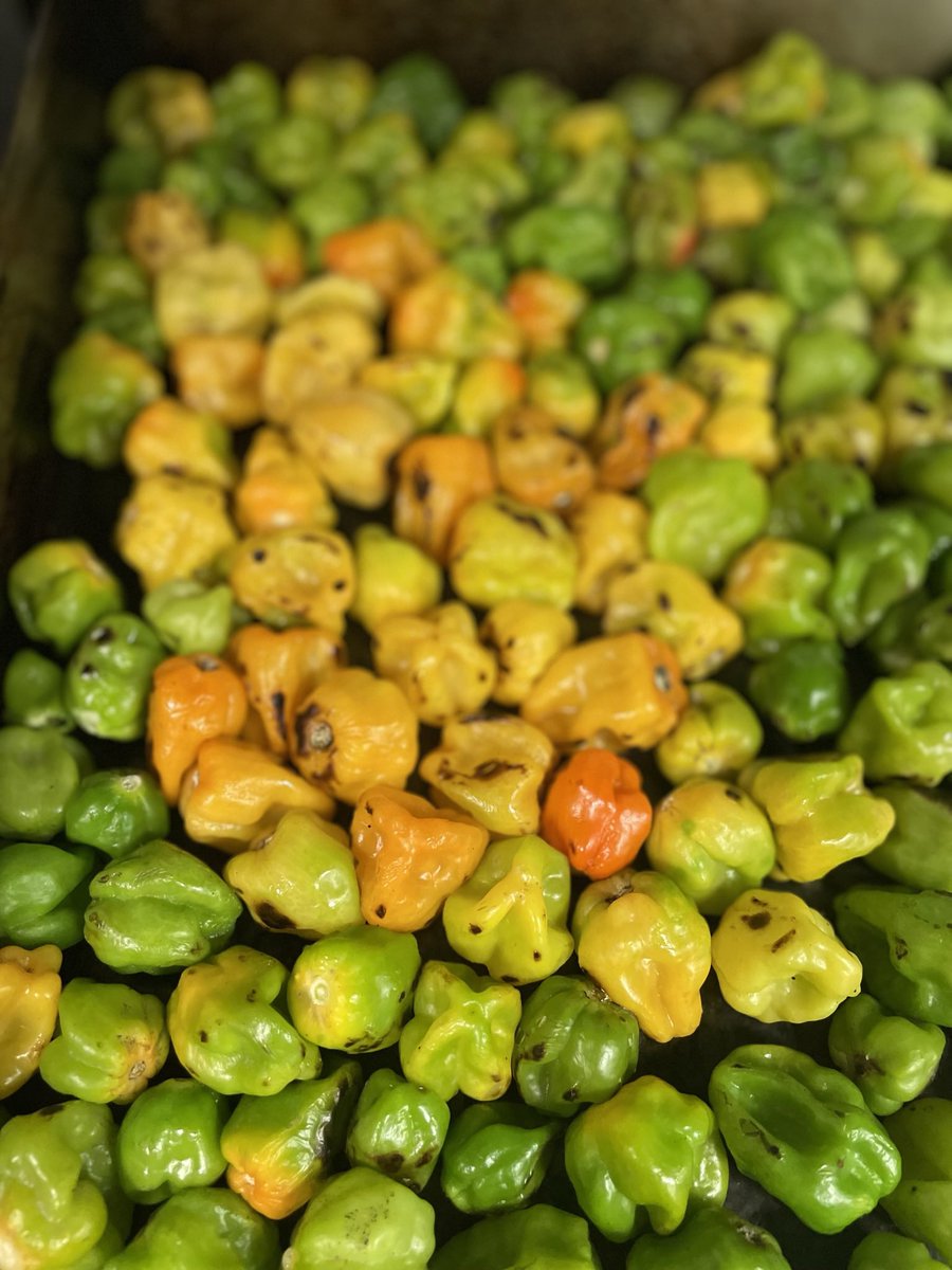 Morning mood…

#food #milagrocantina #habaneros