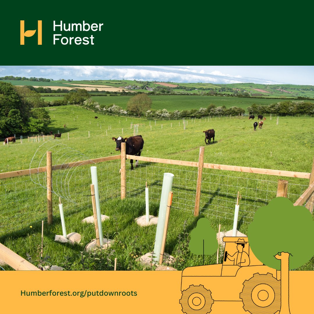 Humber Forest tweet media