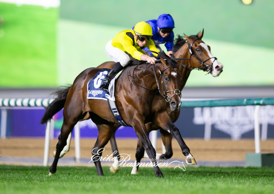 Erika R. Photography (@erikar_photos) on Twitter photo Group 2 Al Fahidi Fort for the <a href="/mcacajamez/">James McDonald</a> and <a href="/mcosta_racing/">Michael Costa</a> combination with Marbaan for <a href="/jarcOfficial/">Jebel Ali Racecourse</a>
A great start for James McDonald Group 2 Al Fahidi Fort for the <a href="/mcacajamez/">James McDonald</a> and <a href="/mcosta_racing/">Michael Costa</a> combination with Marbaan for <a href="/jarcOfficial/">Jebel Ali Racecourse</a>
A great start for James McDonald
