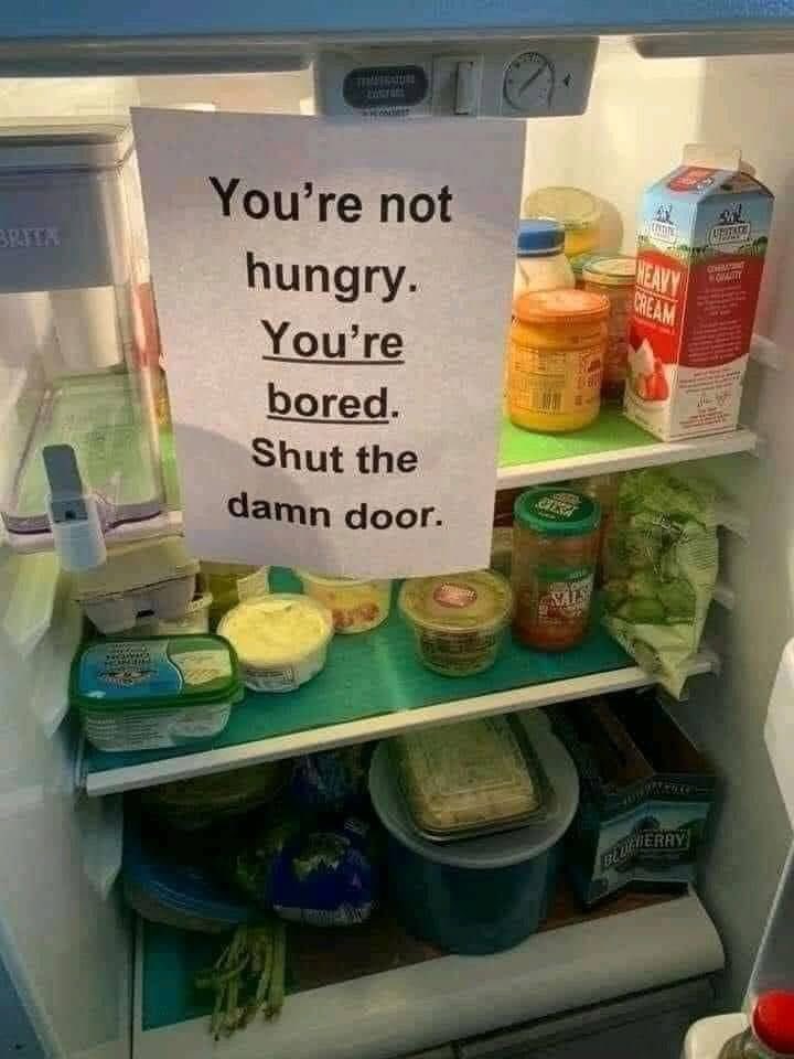 Jr88rules's tweet image. This morning be like…