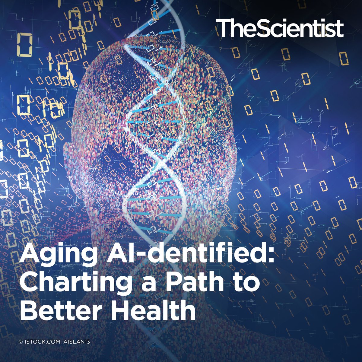 TheScientistLLC's tweet image. Artificial intelligence is increasingly being incorporated into biological research.
Check out this profile with @Furman_Lab @Stanford @BuckInstitute to see how he is incorporating these technologies into his research in aging and the immune system: bit.ly/3CdcUXC