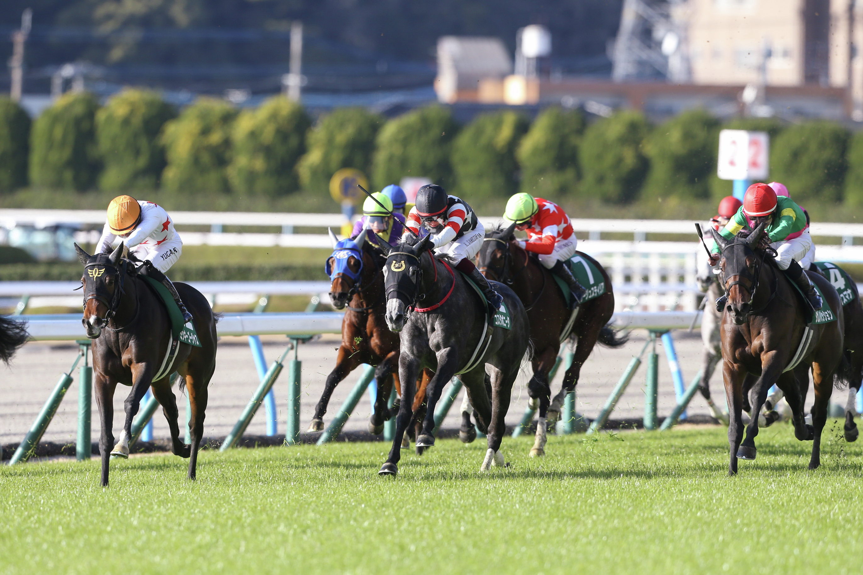 JRA-VAN公式 on X: JRA-VAN公式 on X: