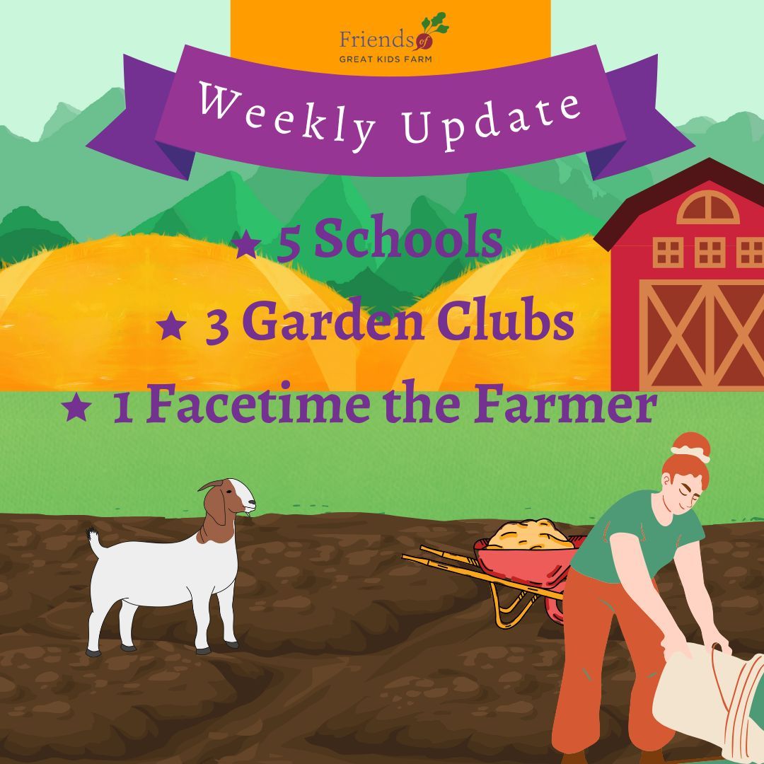 The GKF staff will visit FOUR elementary and middle schools for Garden Club or a partnership session this week. One school will Facetime the Farmer!

We love supporting school visits and virtual sessions just as much as students at the farm because accessibility is important!