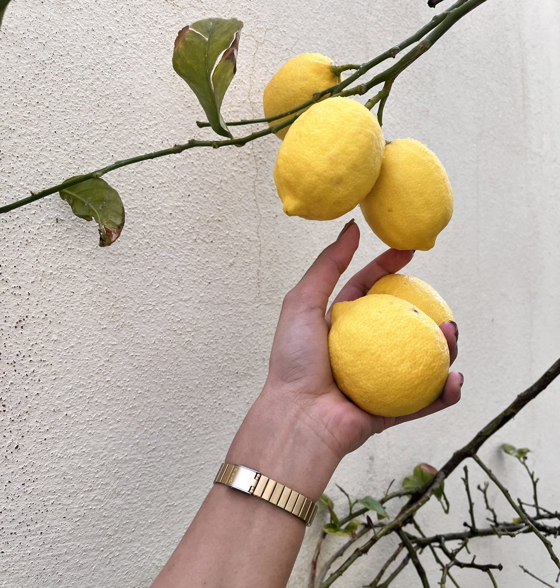 هِـ د ى (@iipy92) on Twitter photo 