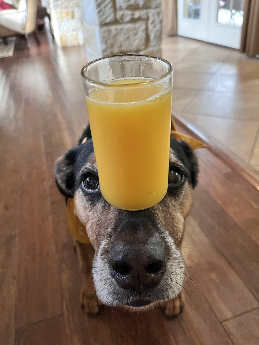 imniceandsmart's tweet photo. Juice on him https://t.co/UbRWmN6EYf